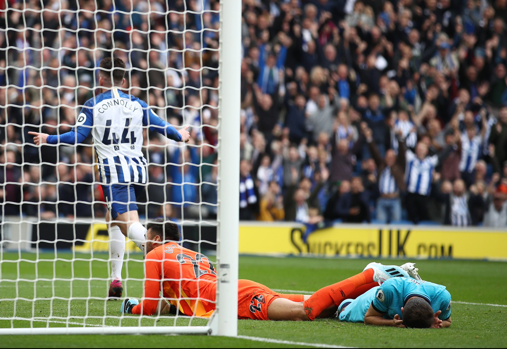 的智慧和 的智慧和