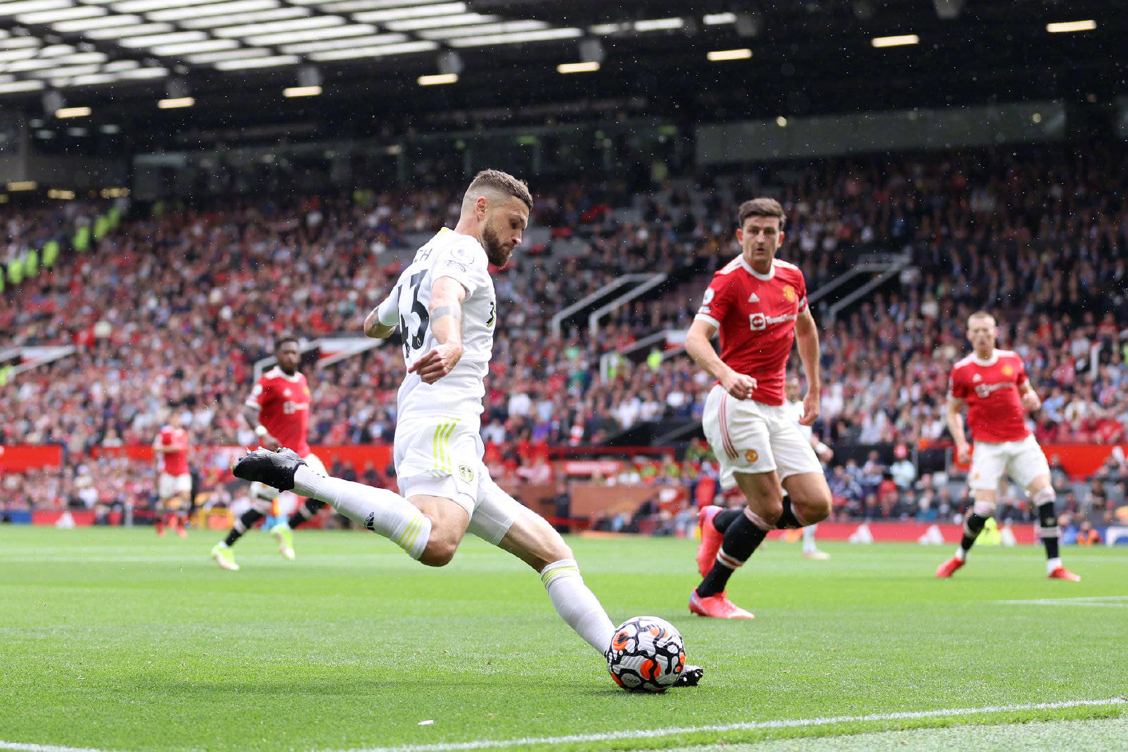 提供了重要 提供了重要